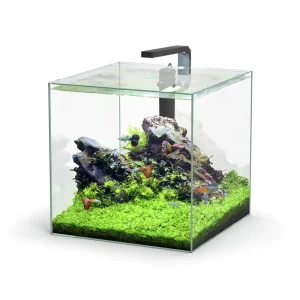 aquatlantis Kubus LED 54 l Aquarienset Expressversand